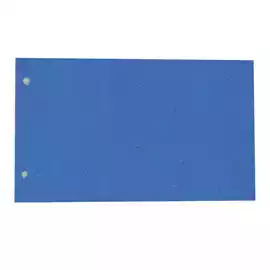 Separatori cartoncino Manilla 200gr 12,5x23cm azzurro Cartotecnica...